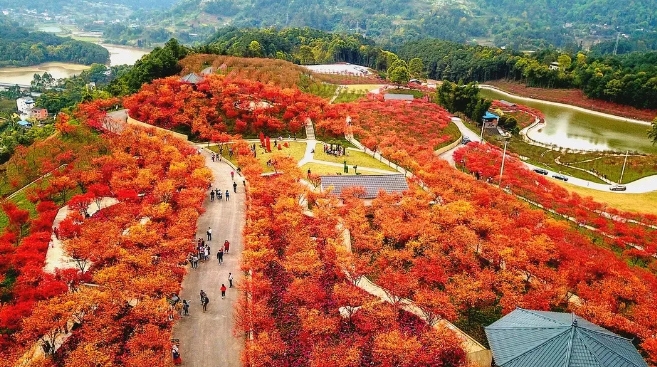 重慶南湖多彩植物園2.png