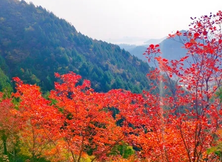 北京圣泉山旅游風(fēng)景區(qū)