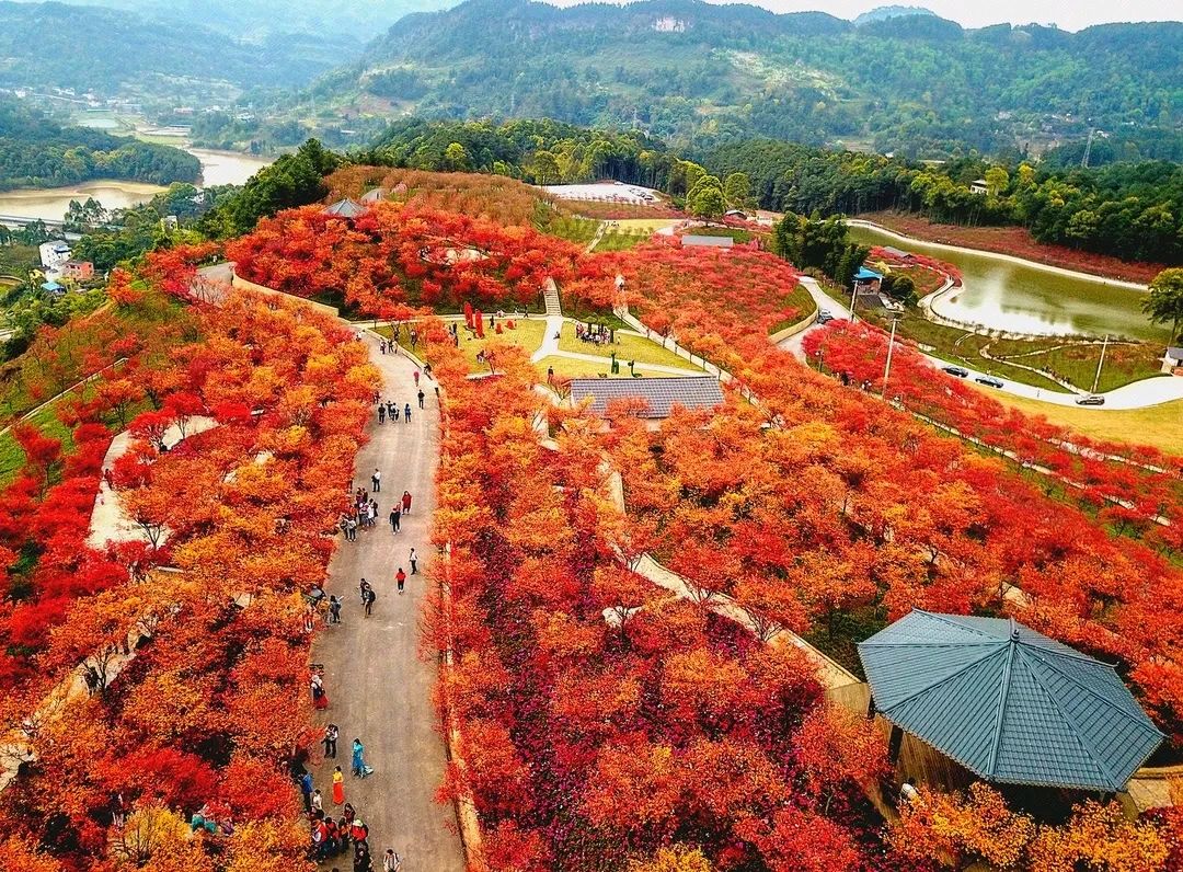 重慶南湖多彩植物園