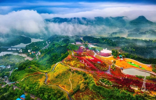 重慶南湖多彩植物園