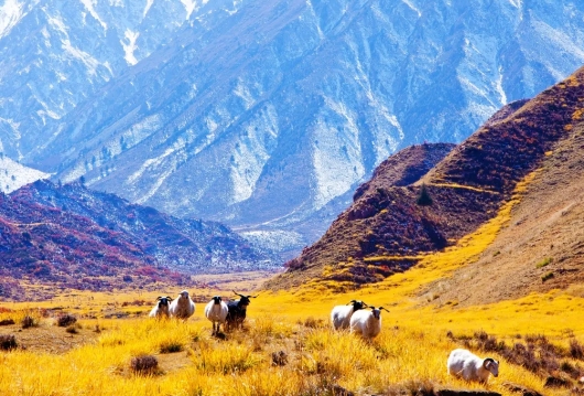 馬蹄生態(tài)文化旅游區(qū)