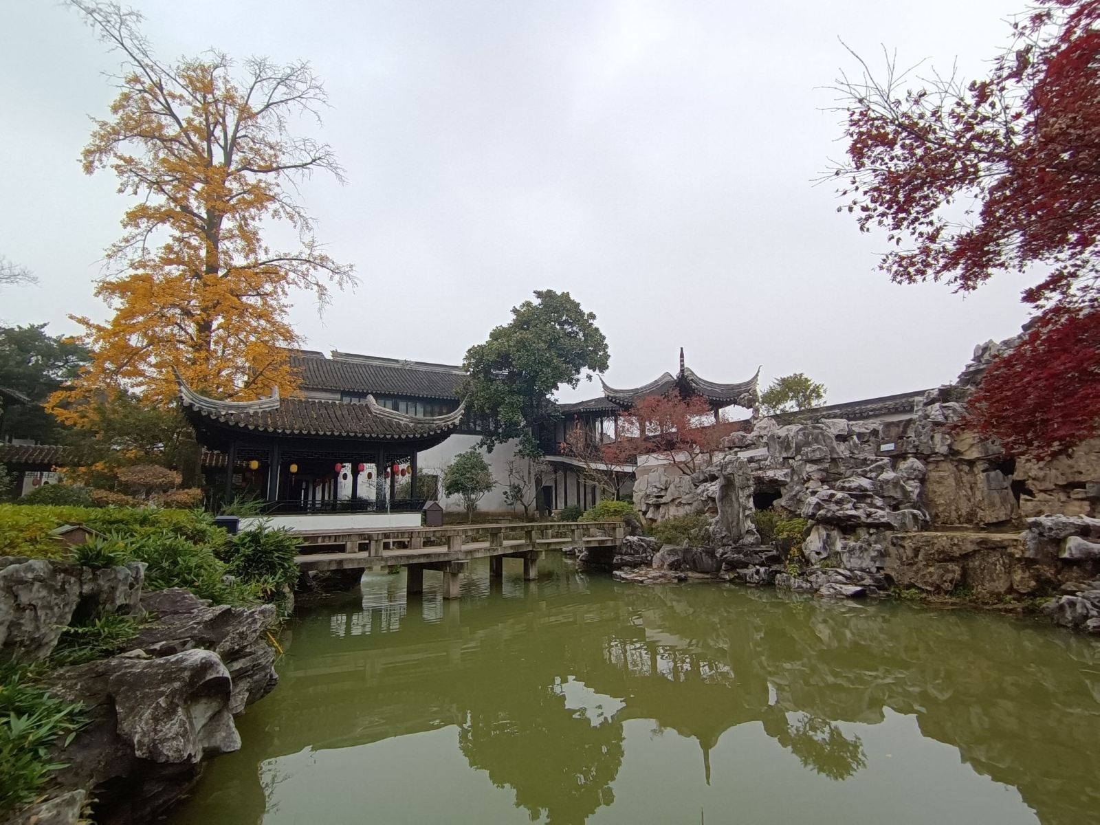 蘇州古松園4.jpg