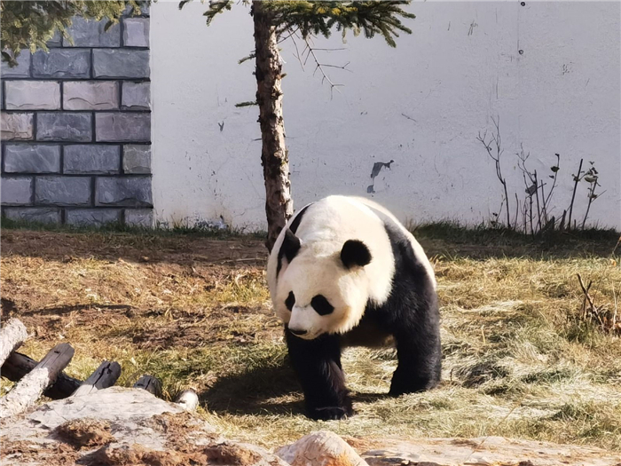 呼和浩特大青山野生動物園1.jpg