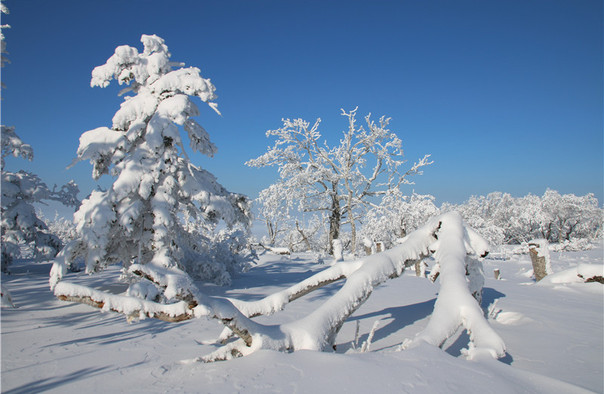 雪鄉(xiāng)雪世界歡樂(lè)谷.jpg