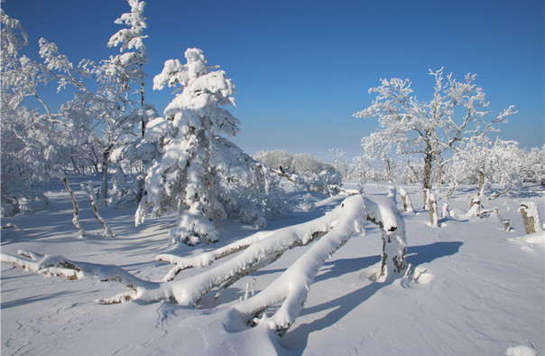 雪鄉(xiāng)雪世界歡樂谷3.jpg