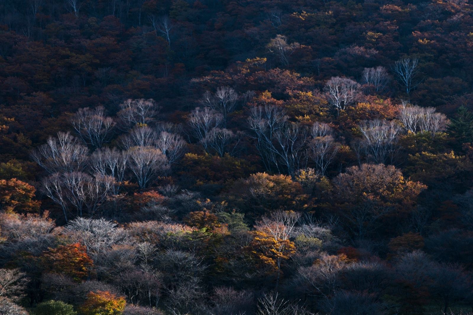 臺(tái)州赤城山4.jpg