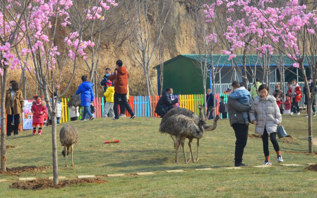 鄭州花海漢窯歡樂田園