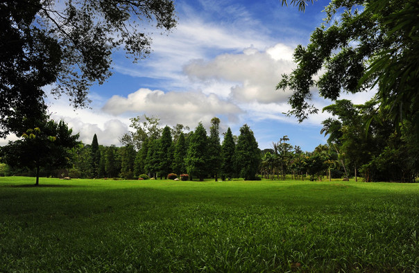 良鳳江國(guó)家森林公園