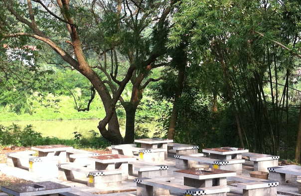 良鳳江國(guó)家森林公園