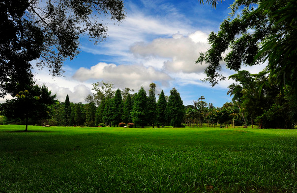 良鳳江國家森林公園