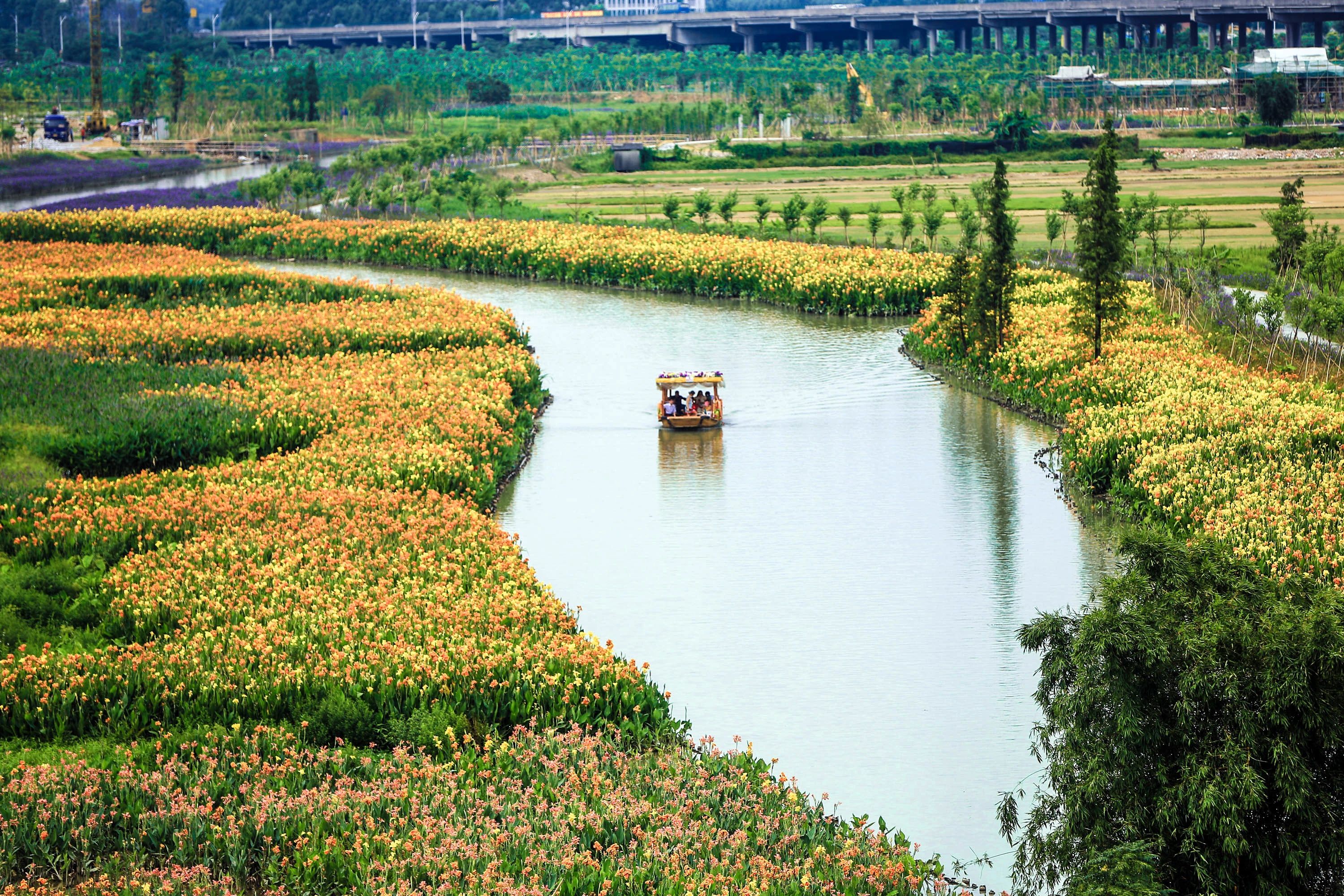 東莞華陽湖濕地公園