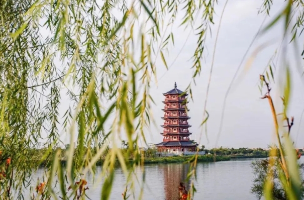 東莞華陽(yáng)湖濕地公園