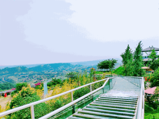 宜賓彩山四季花海