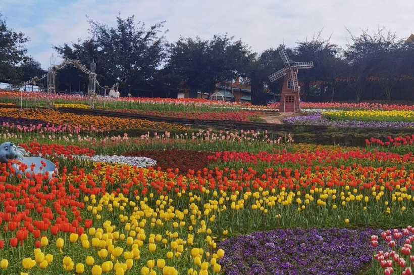 宜賓彩山四季花海