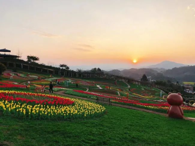 宜賓彩山四季花海