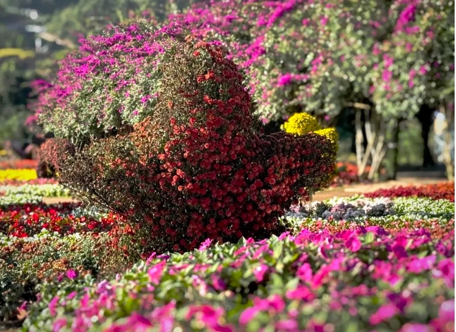 宜賓彩山四季花海