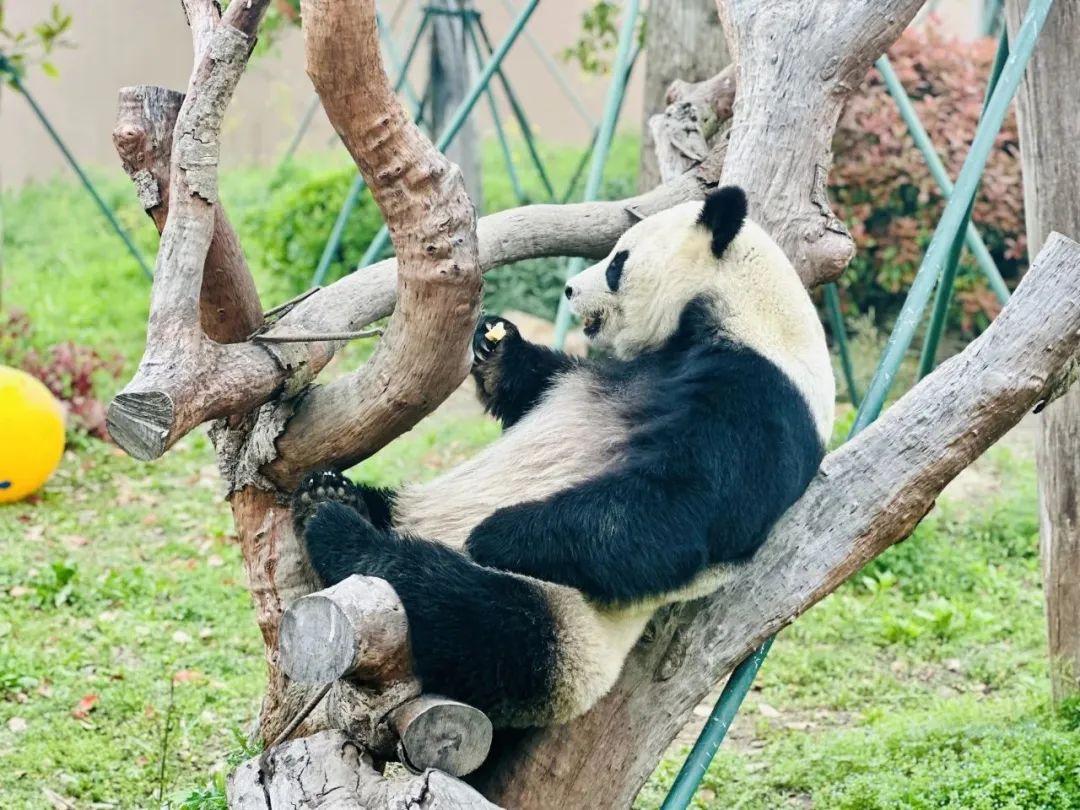 揚(yáng)州世博園