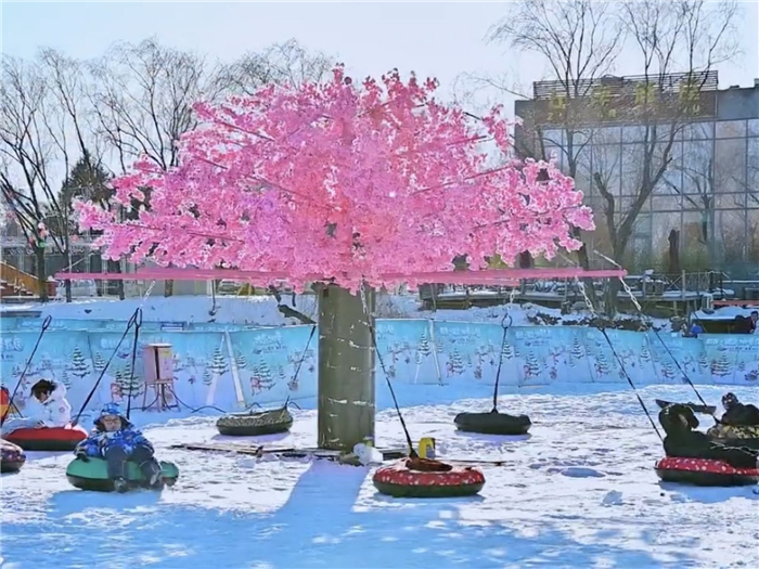 哈爾濱亞布力活力堡戲雪樂園