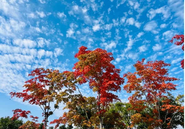 泰山天頤湖旅游度假區(qū)