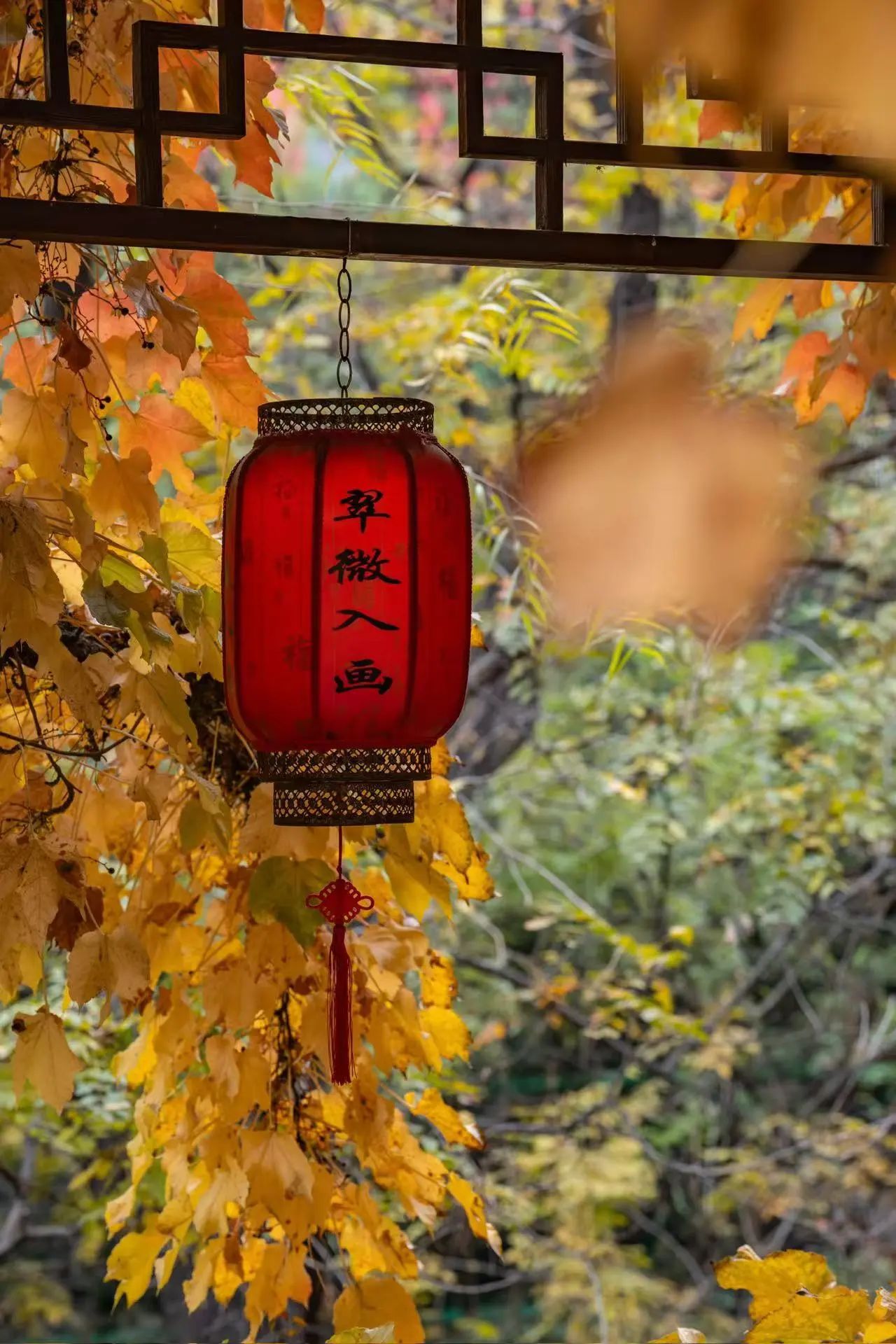 北京八大處公園3.jpg