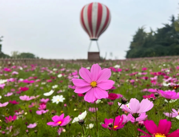 泰山天頤湖旅游度假區(qū)