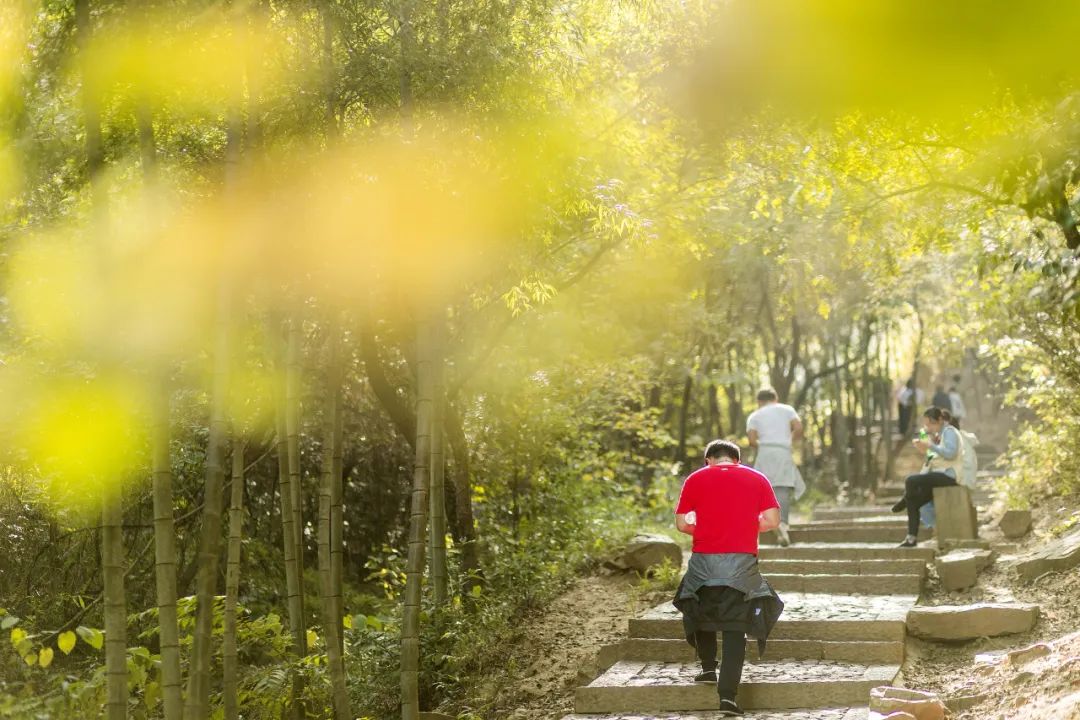 太湖旅游年卡