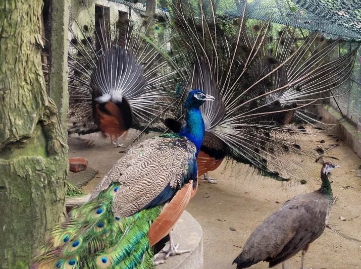 金鶚山野生動(dòng)物園