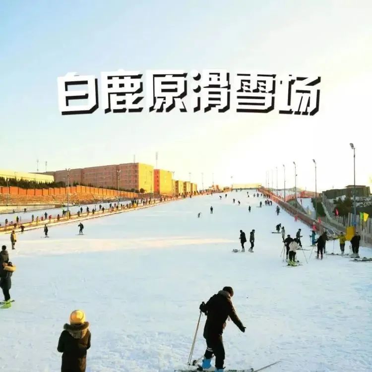 白鹿原影視城滑雪場