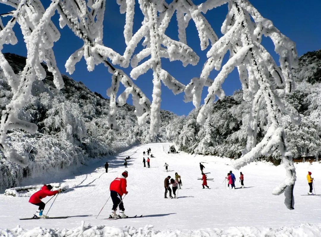 金佛山西坡滑雪場