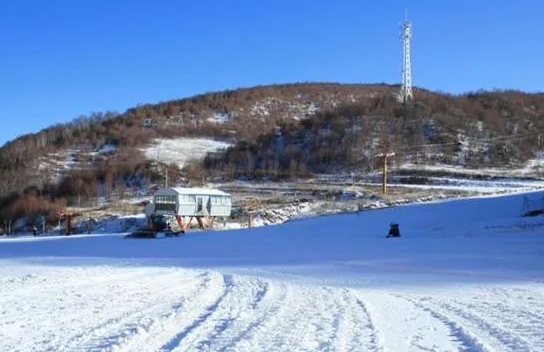 2024東營龍居桃花島滑雪場開放時間+門票價格+地址+游玩介紹