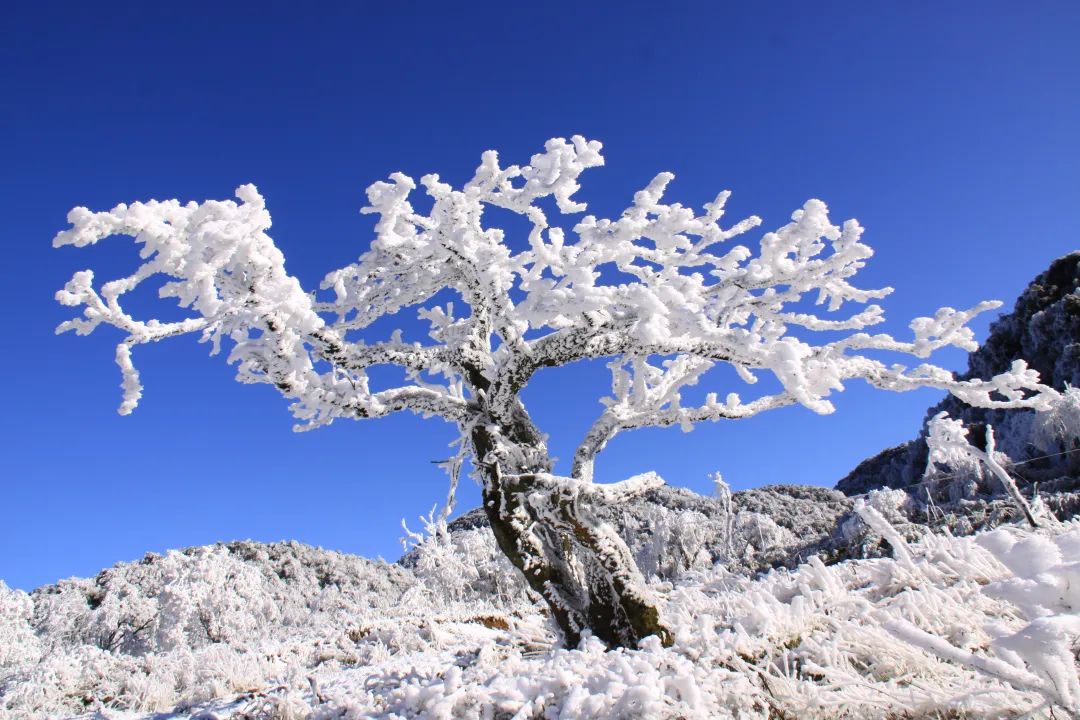 金佛山西坡滑雪場