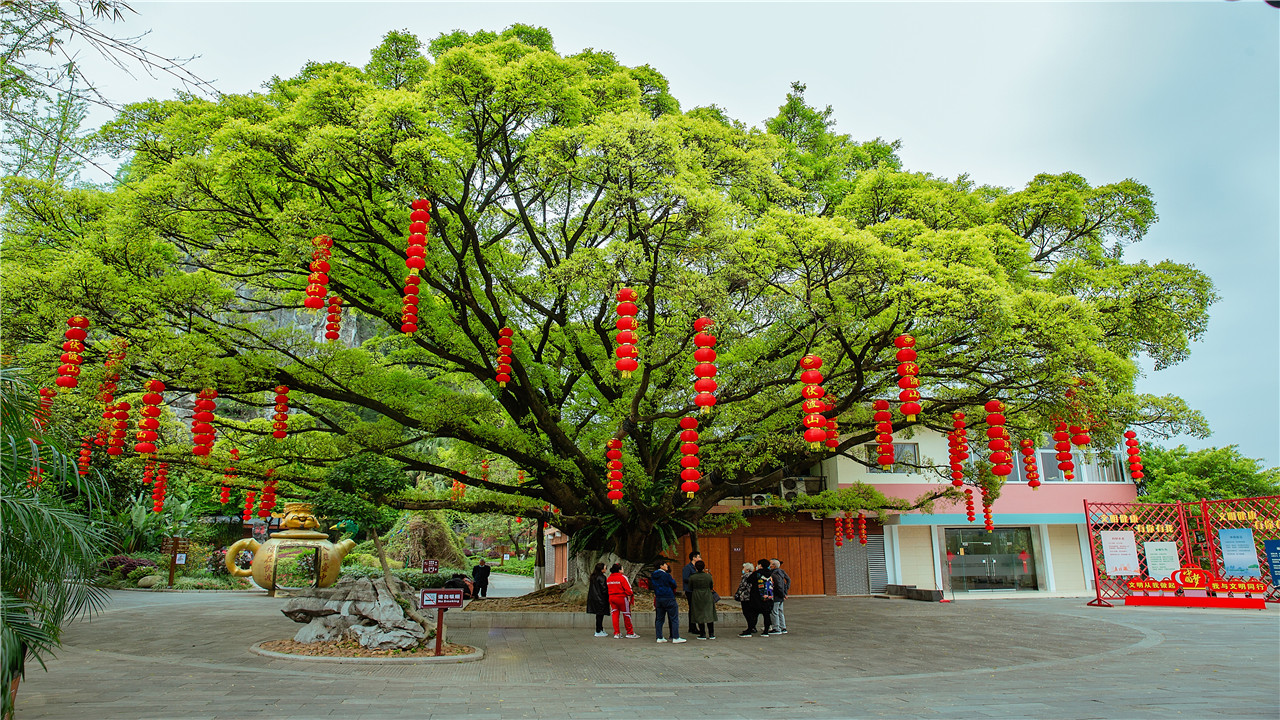 桂林伏波山