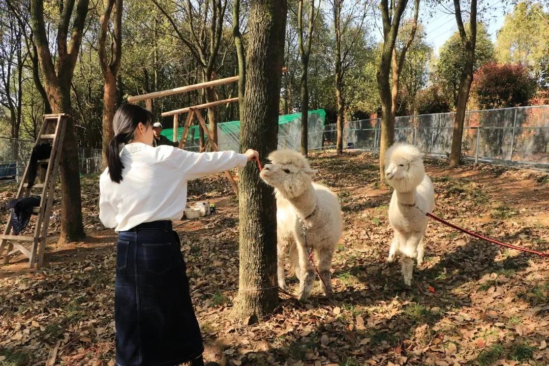 宣城馬頭祥景區(qū)