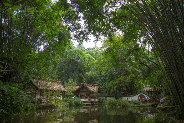 汕頭科隆千樹園