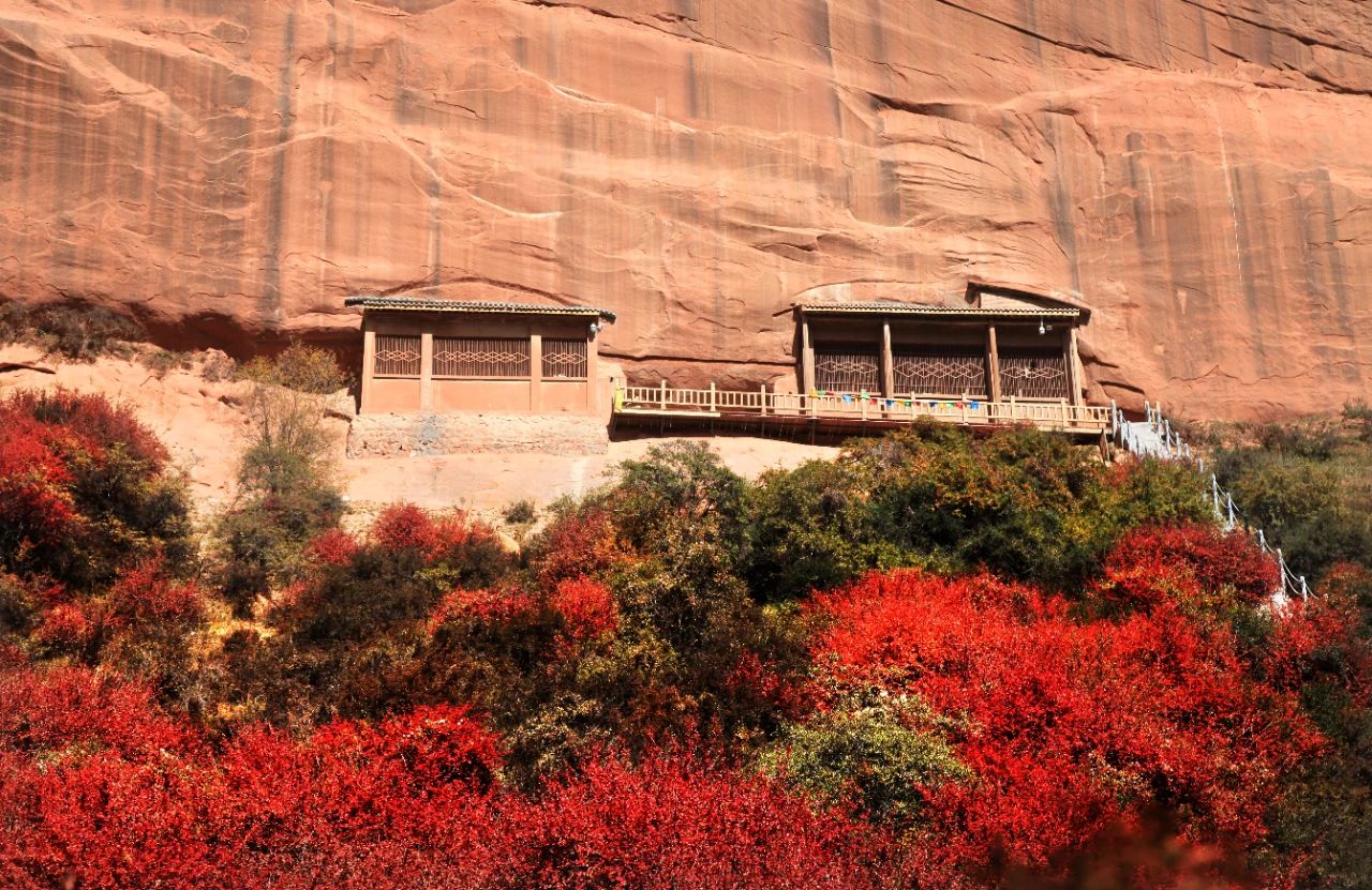 馬蹄生態(tài)文化旅游區(qū)3.jpg