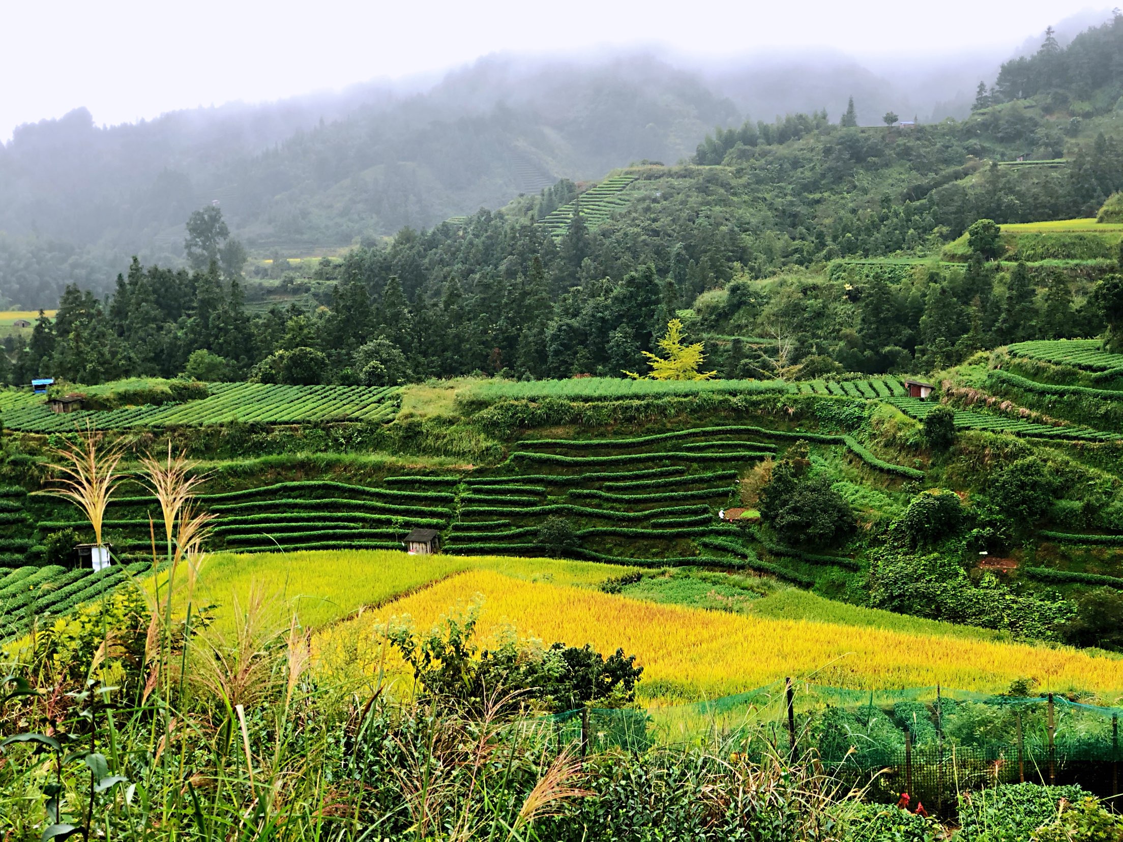 柳州仙人山景區(qū)