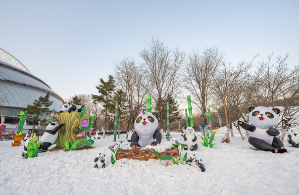 沈陽奧體冰雪嘉年華