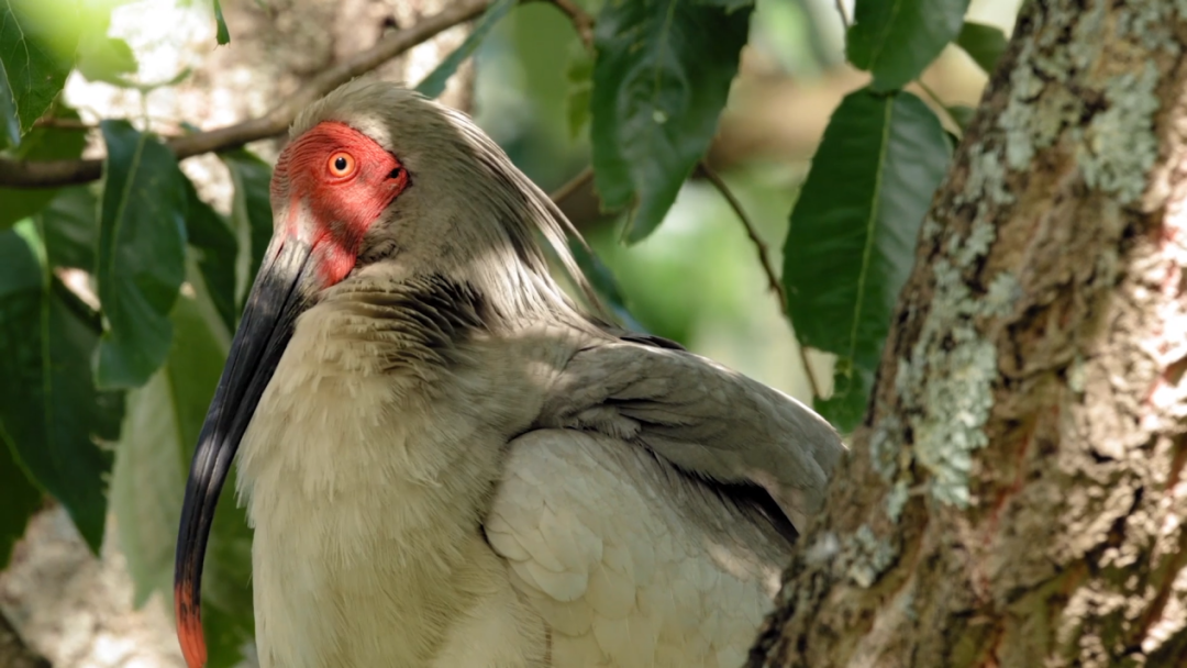 牡丹江珍稀動(dòng)物園