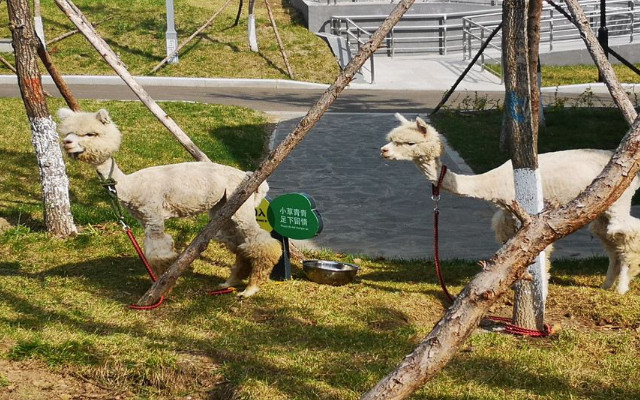 牡丹江珍稀動物園