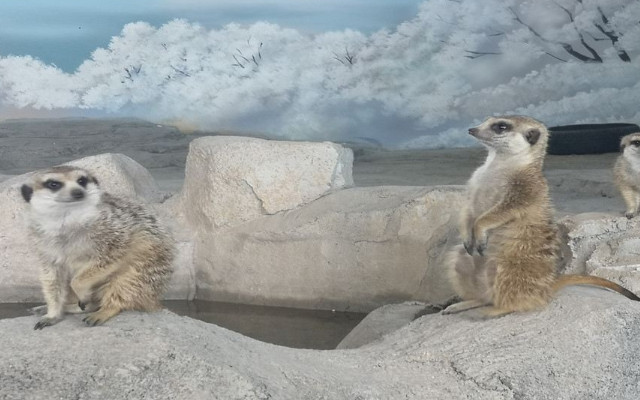 牡丹江珍稀動物園