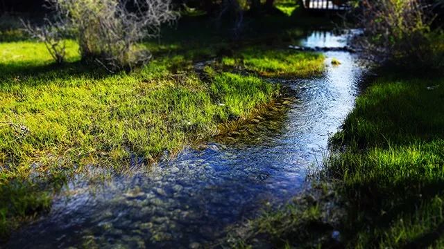 沙棘林濕地公園景區(qū)