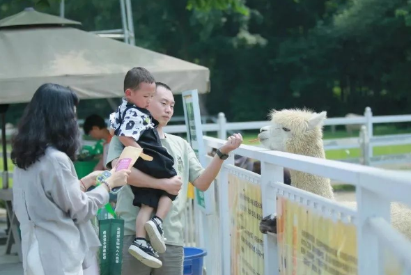 成都鹿森堡動物莊園