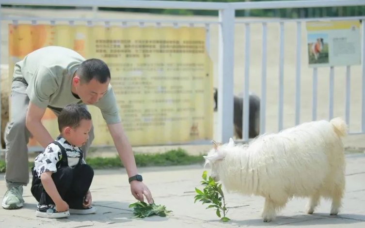 成都鹿森堡動物莊園1.png