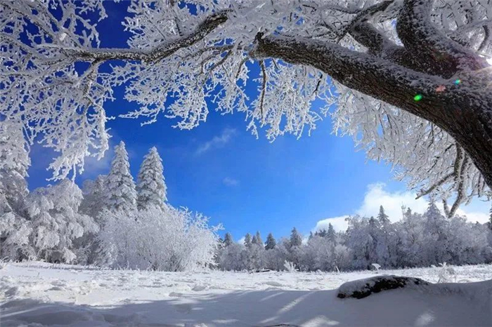 長白山仙峰雪嶺景區(qū)