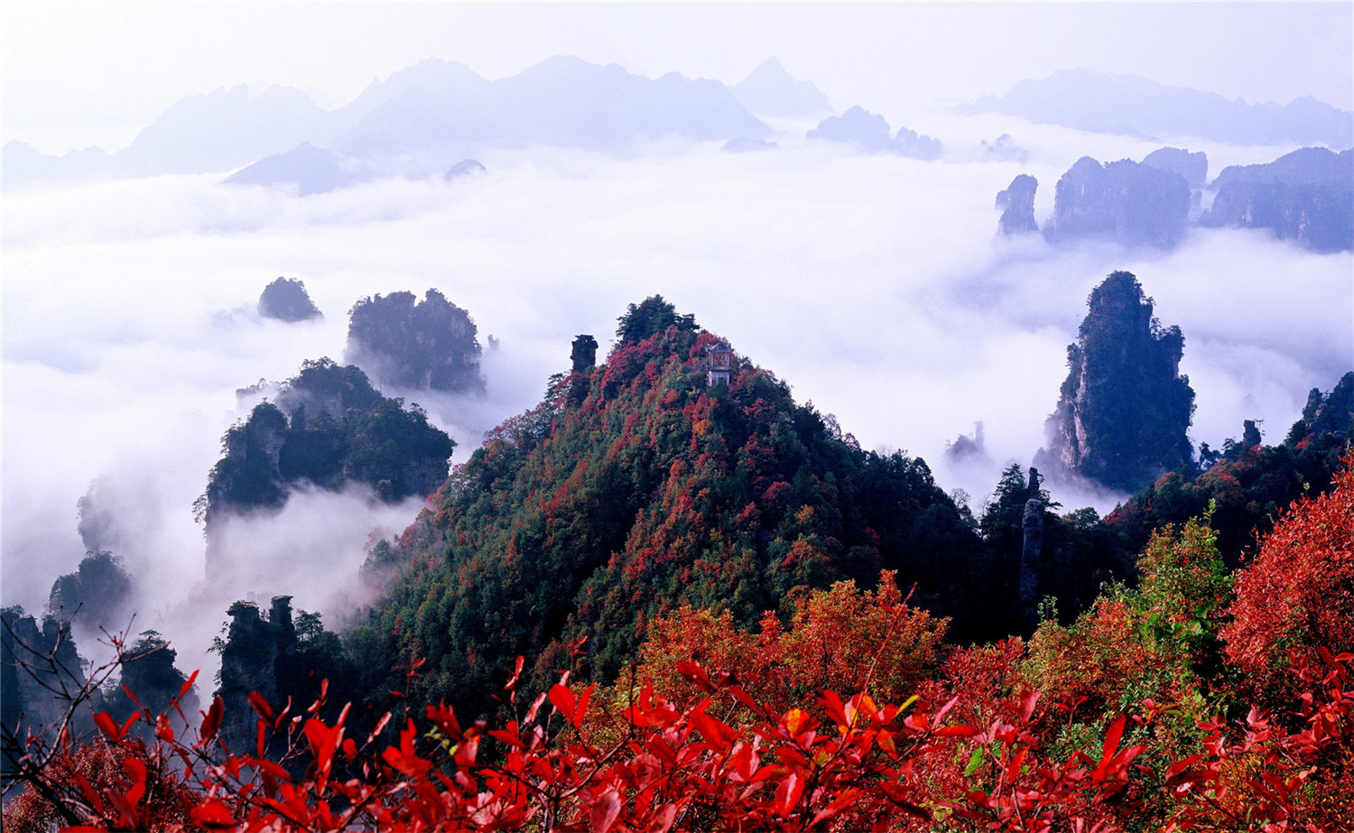 張家界天子山索道