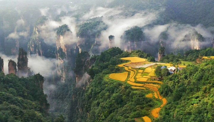 天子山索道