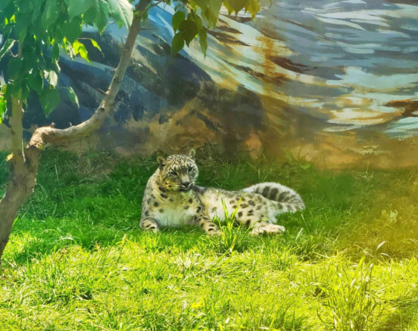 西寧野生動物園