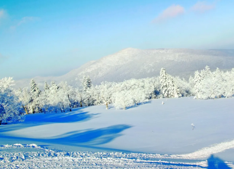 牡丹江雪鄉(xiāng)國家森林公園.png