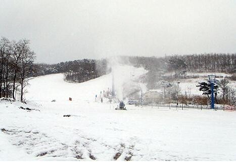 2025鐵嶺小馬駒滑雪場門票價格+營業(yè)時間+地址+游玩介紹