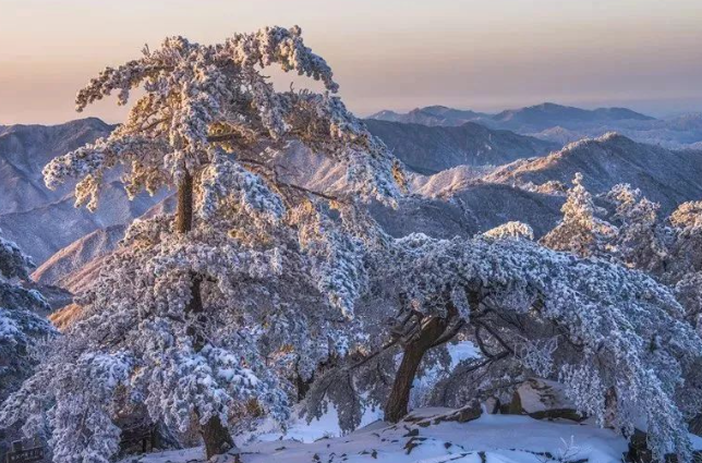 大別山滑雪旅游度假區(qū)